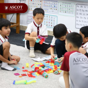 Primary years - Social Skills