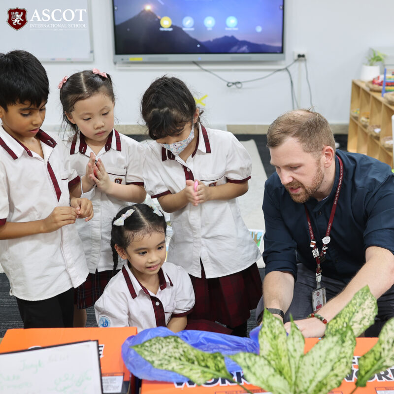 Primary years at ascot international school