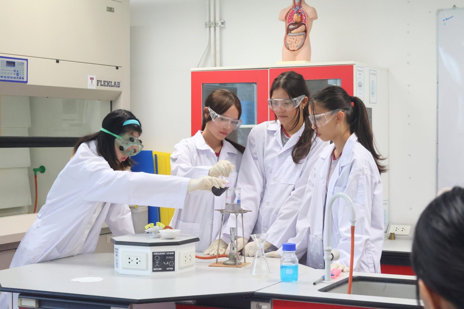 Secondary Years - Middle Year Programme