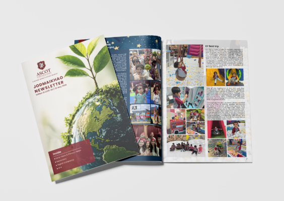 Newsletter edition 13