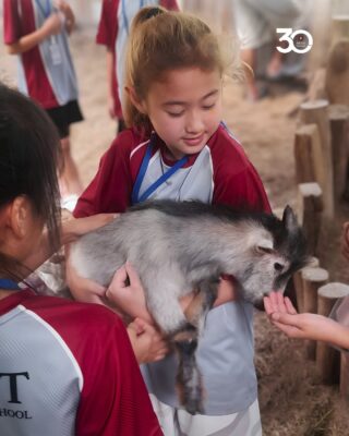 Learning Through Nature at Get Growing Farm Growing Responsible Learners Beyond the Classroom (2)