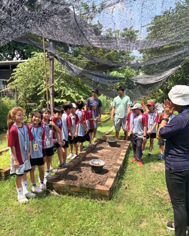 Learning Through Nature at Get Growing Farm Growing Responsible Learners Beyond the Classroom (7)