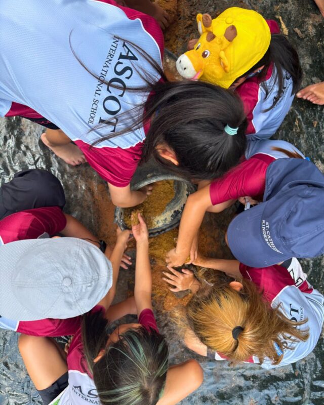 Learning Through Nature at Get Growing Farm Growing Responsible Learners Beyond the Classroom (8)