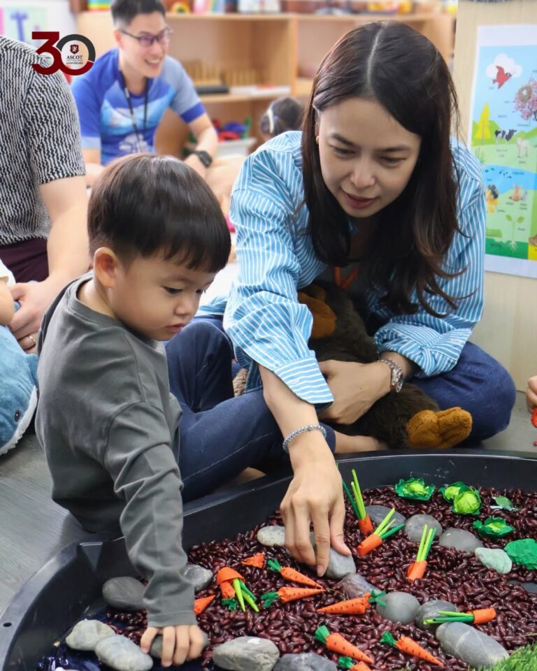 Playgroup Little Lions 2025–26 A Year of Learning, Laughter and Friendship (1)