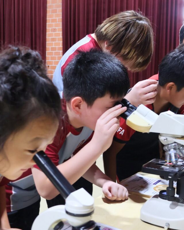 Science Exhibition of Secondary student 2025–2026 Innovating for a Sustainable Future (19)